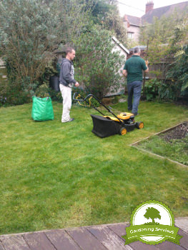 Manchester Lawn Care 